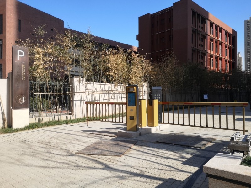 白樺林團圓 (5).jpg